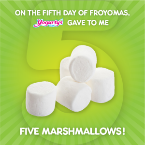 froyomas_day5